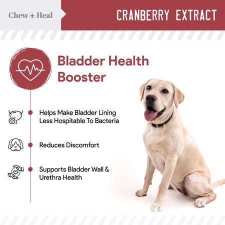 Chew + Heal Cranberry UTI Protection - 120 Chews CH-CRANBERRY-120